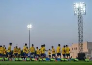 九州娱乐-大阪樱花备战亚足联杯，积极备战决赛(2021年3月13日,日职联大阪樱花的比赛结果)